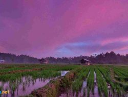 Puisi Alam Tentang Air Terjun yang Memukau Hati