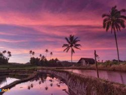Puisi Alam dengan Sentuhan Keindahan Alam Pesisir