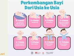 Mengenal Tahapan Perkembangan Anak Usia 0 hingga 15 Bulan