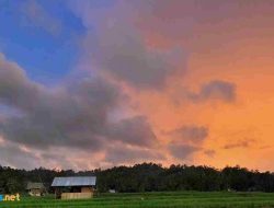 25 Contoh Puisi Lagu Senja: Meresapi Keindahan Alam dalam Setiap Baris