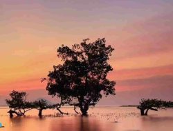 Pantun Alam yang Menggambarkan Keindahan Pemandangan Alam Indonesia