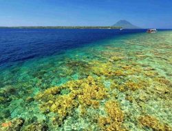 Kumpulan Pantun Alam tentang Keindahan Alam Pesisir