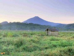 40 Aesthetic Quotes Kata-kata Senja: Menyentuh Hati dengan Keindahan Waktu