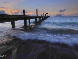 Puisi Alam Tentang Kebebasan dan Kehidupan di Alam Liar