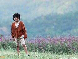 20 Contoh Puisi tentang Ibu, Sang Pahlawan