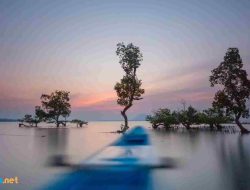 Indahnya Pantun Alam: Menyuarakan Pesan Kehidupan Lewat Alam