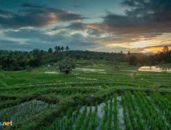 Pantun Alam yang Menggugah Hati: Menyentuh Jiwa dengan Keindahan Alam