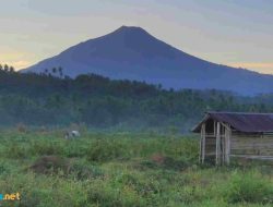 25 Pantun Keindahan Senja di Alam Bebas: Meresapi Keajaiban Alam yang Menenangkan