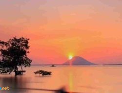 24 Contoh Puisi Tentang Bahasa