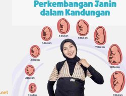 Beginilah 11 Tahap Perkembangan Janin dalam Kandungan