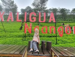 10 Tempat Wisata di Brebes yang Populer 2025