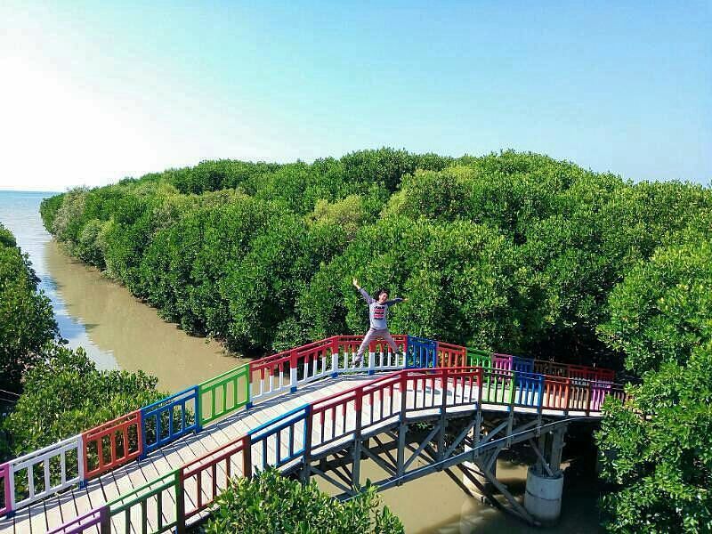 Mangrove Pandansari